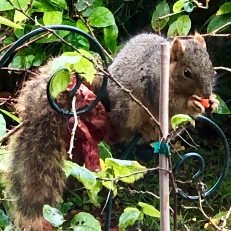 829674BE-3EAC-4F61-9E0C-80739DFBA55F