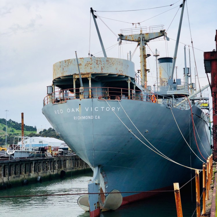 153298E5-FFEC-44D3-8F84-83748FBF01A3