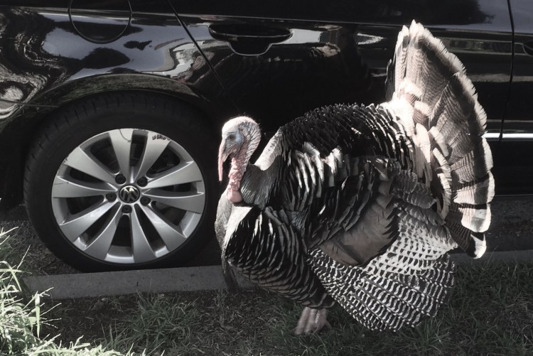 2769DF5E-91FE-4BCF-AC4F-D199040038F3