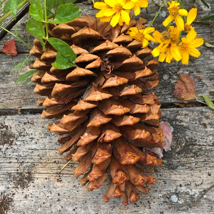 441B7461-4379-4BCC-99C5-1A754F428A7E