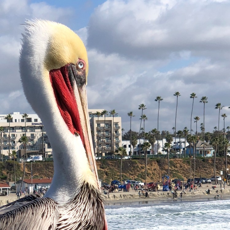 76843D57-82AF-414E-919E-8763ED845BEE