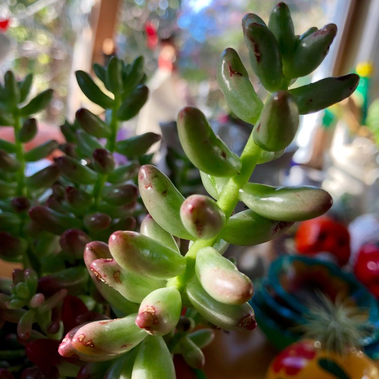 78E9FF99-B695-41C7-93D7-9C11C86F7845