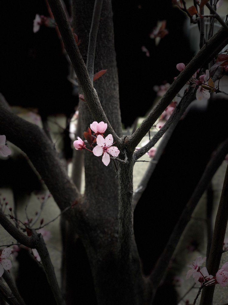 99E35549-0B52-4B7D-99F6-E440060C1EE3