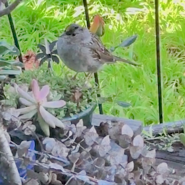 CCE0EF38-AC1F-4052-816F-57BDABA2C155