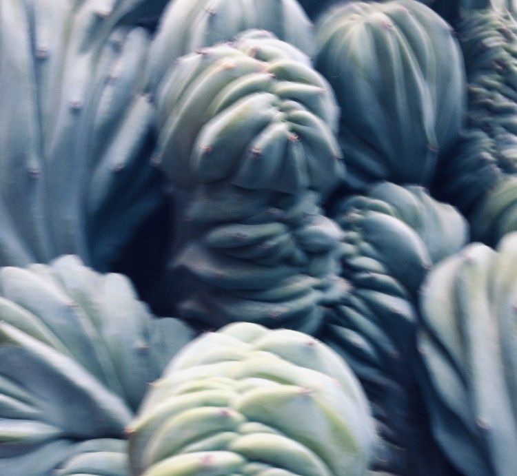 CEC41019-9F01-45EC-BA69-6637A3211E1D