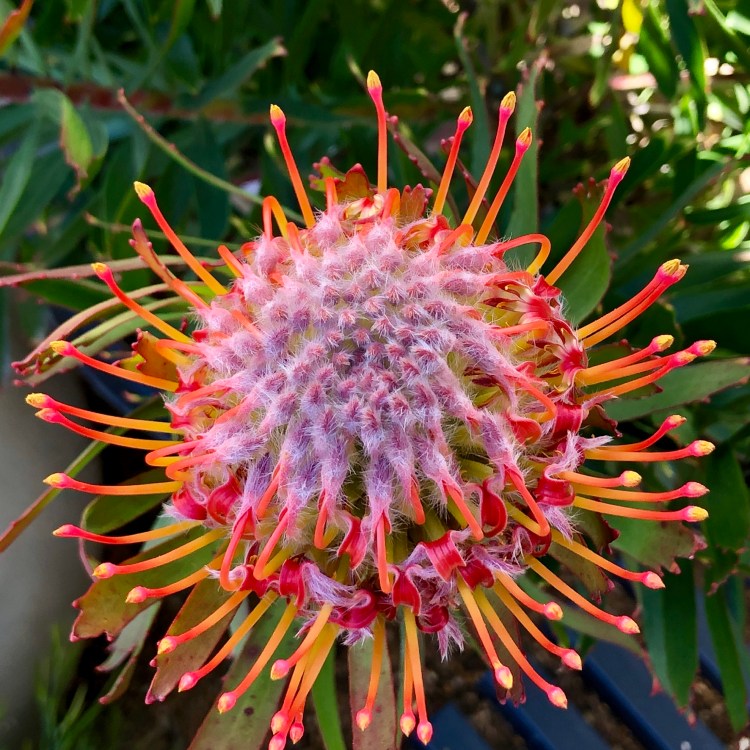 F2769BFC-FB85-4876-A664-532FF728B717