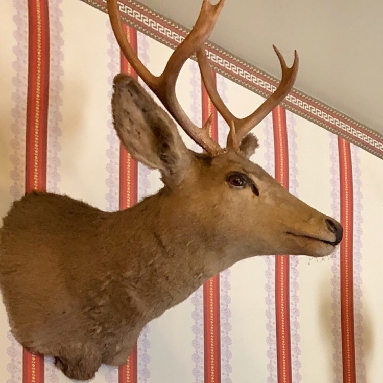 F9D9CF21-7FD2-4CD8-97B7-5D55BAE64DD5