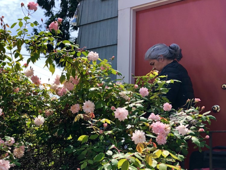 CF961967-1A1A-4673-ACCD-6E16E98B82F1