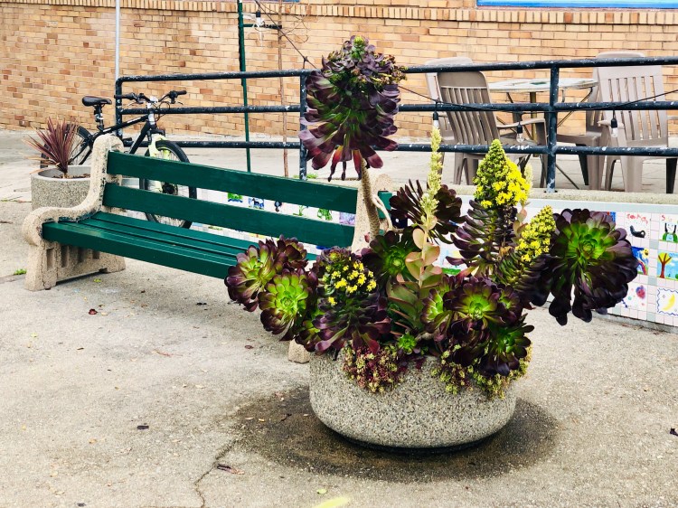 0871E127-244A-4B4D-8E5F-4E8E7477B8BE