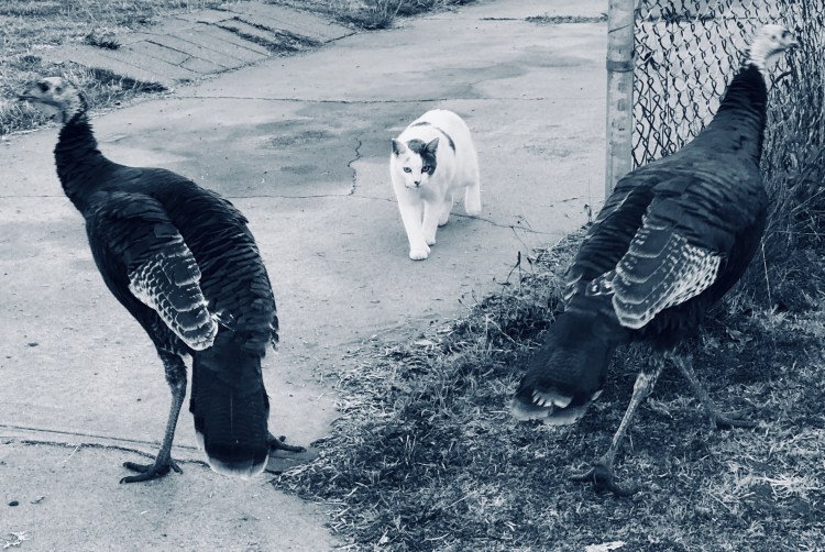 117CC72A-3330-4C67-B221-41332C27D926