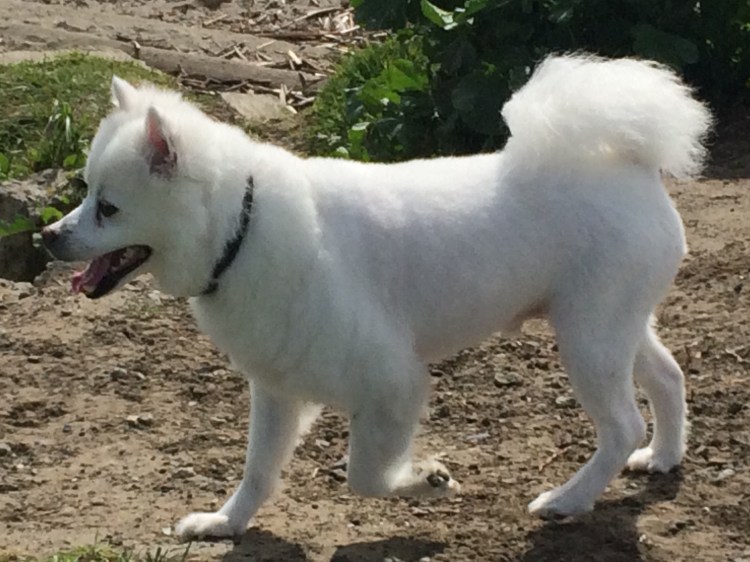 23E36792-6C47-4E29-A881-E8F21495F717