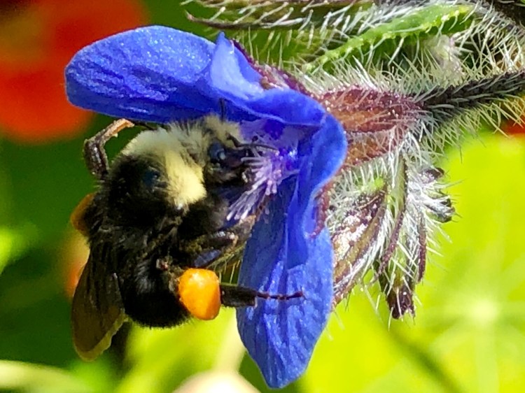 3DA849C8-E825-4C7E-9A38-1DF867DC583B