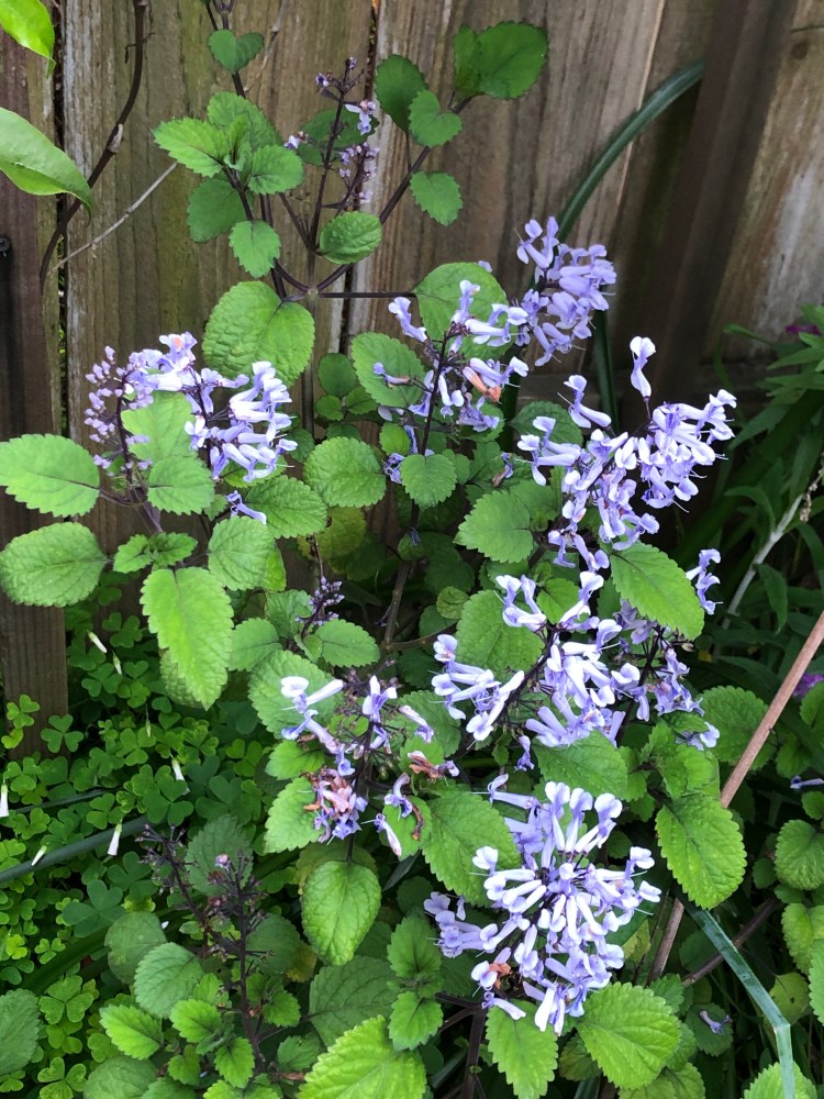 556B4B61-67A2-45E7-80B1-3D330DD257D5