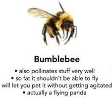 877316E4-329A-49FC-A1AF-02675353F290