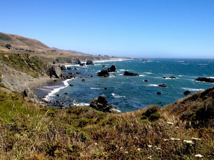 8784B01C-145A-46A7-A536-39F7F1AA8090