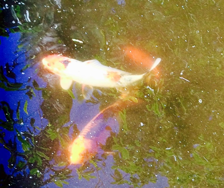 87960022-3028-4F56-B3F8-74F24161641A