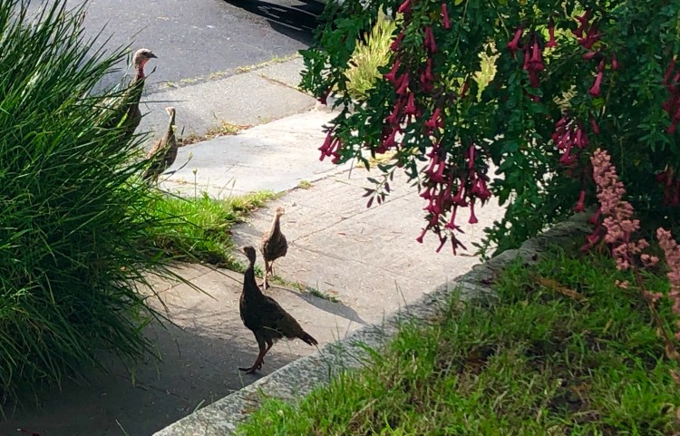 906DCBF6-992E-4383-99A8-E87D713FABE9