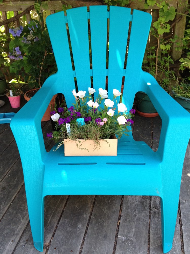 B606B26D-A54B-439D-B4ED-8C6EC8DA9FD5