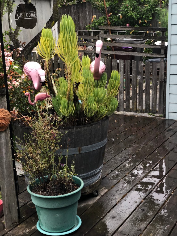 C958EF9A-34E6-40BE-90C2-EE1254C0CA97