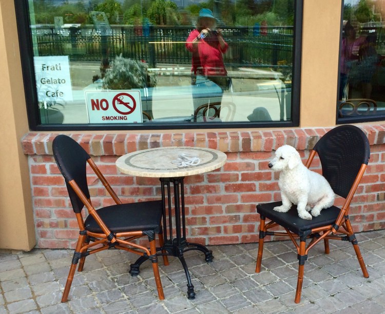 D81E0221-B089-4ED6-81A1-305ABDDF601D