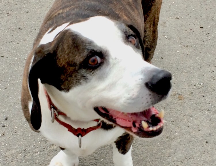 DBD91172-FA53-446B-8944-7A0BD547441F