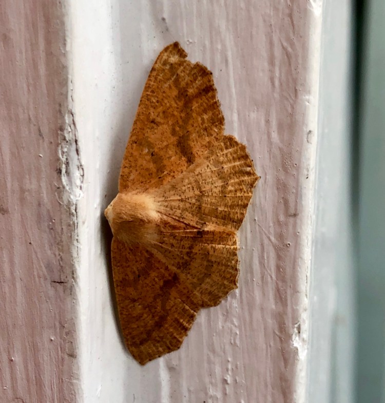 1F6988B6-0803-437A-AA82-6EBB9E424702