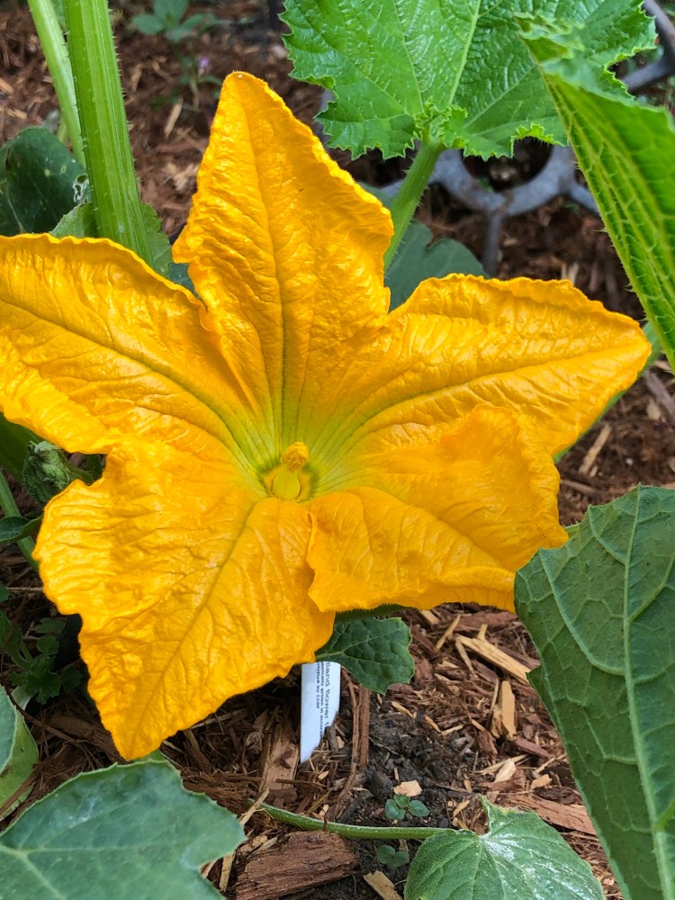 73BB2CE3-D6AE-493F-8449-A8D9F9ACCFCF