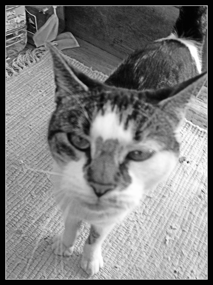 AC205E95-44E8-4E81-9E94-7E4C4B44DBBB