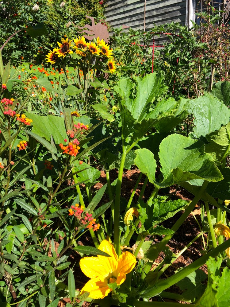 D3C72CBD-C2EE-42A8-959E-E75FECA70A87