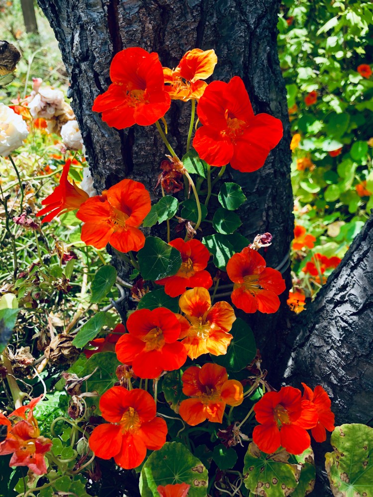 D5602D89-7ADD-49B3-B195-64A338490ABD