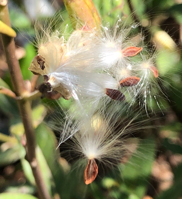 321C503A-1E06-4721-B74B-D3583F59B341