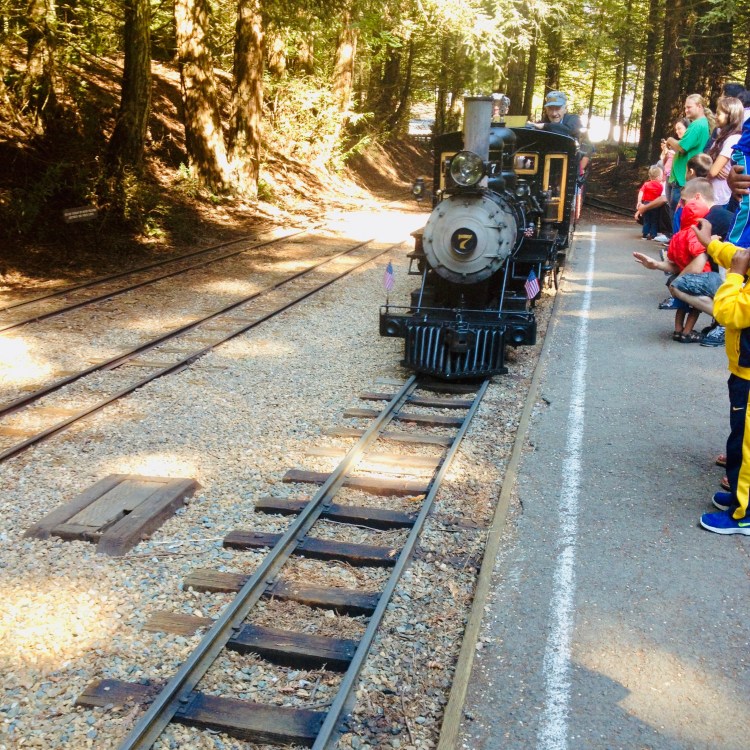 Redwood Railway 