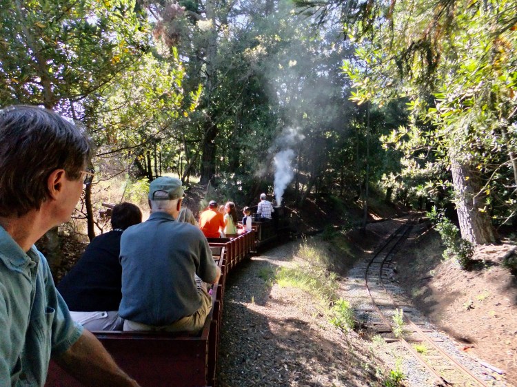 Redwood Train