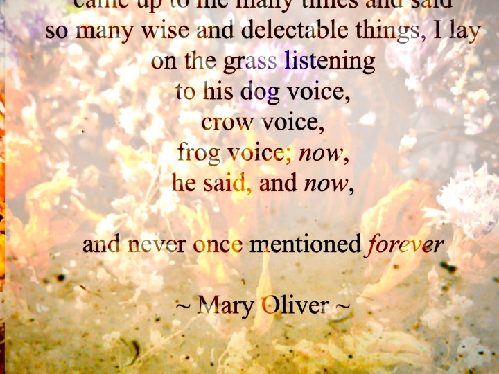 Mary Oliver God of Dort