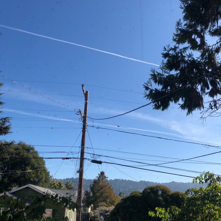 Out my picture window