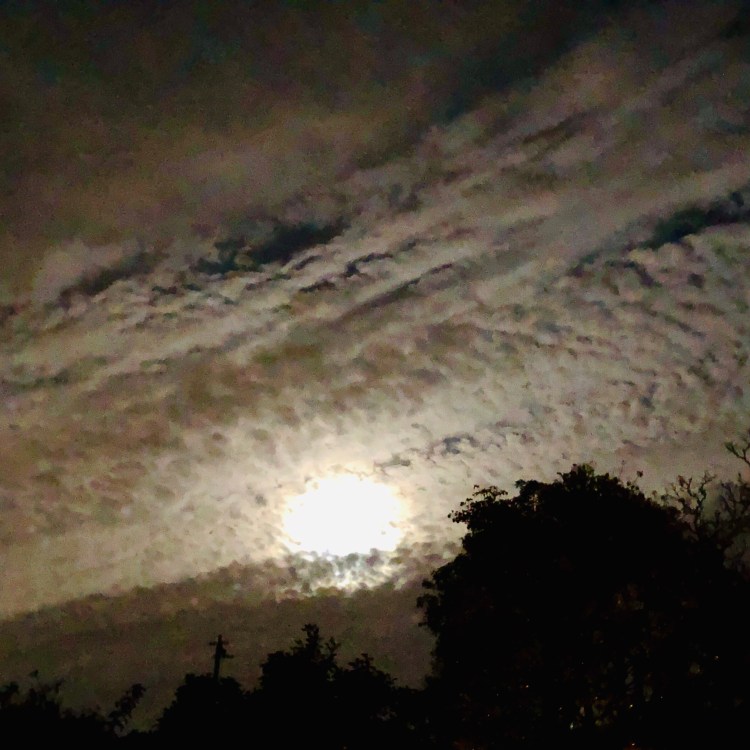 Full Moon October 13 4:54 am PST