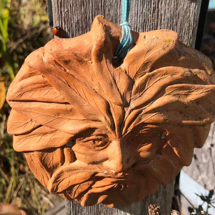 Ladybug and Green Man