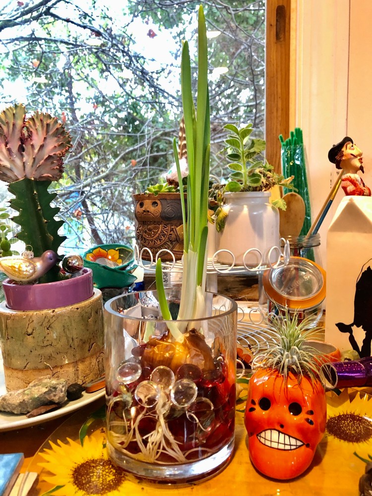 Paperwhite on art table