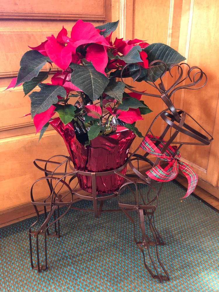 Deer and poinsettia 