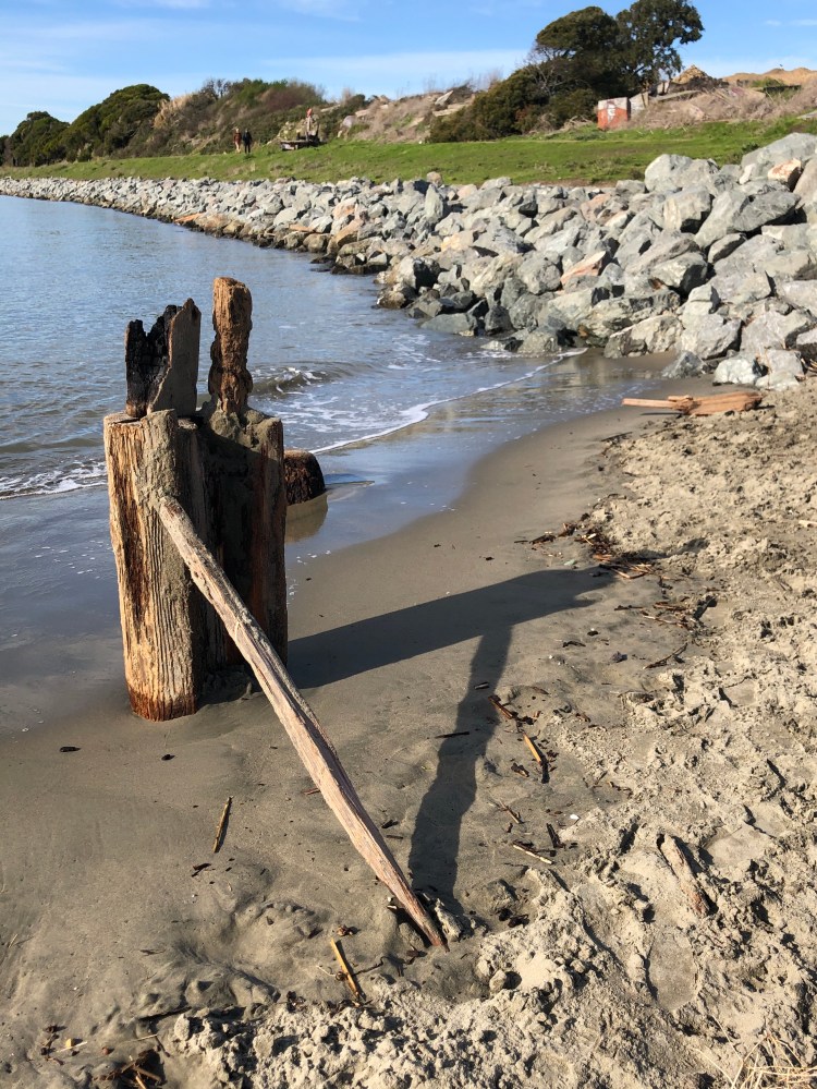 Driftwood Sundial 