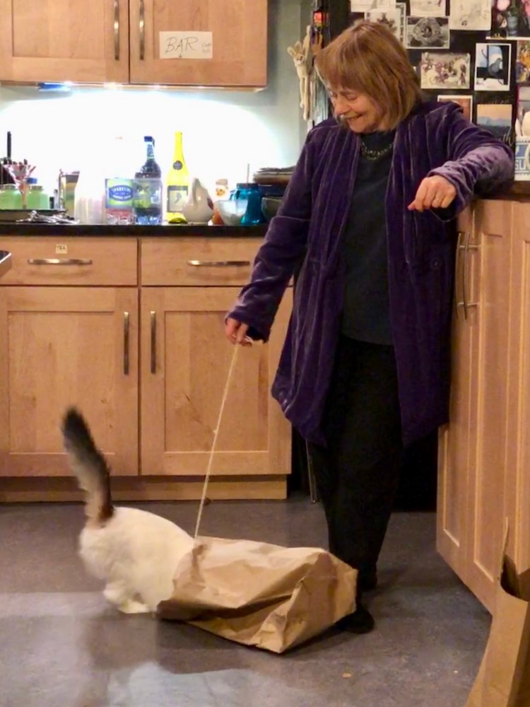 Lee and Cat in a sack 