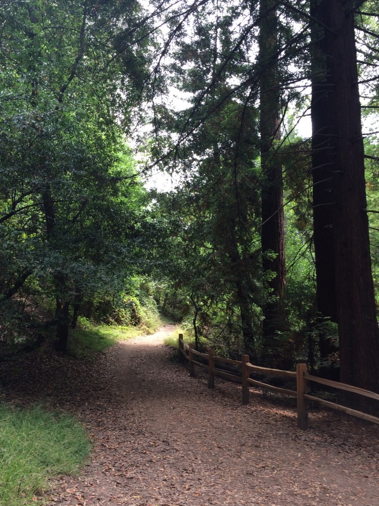 Tilden Park