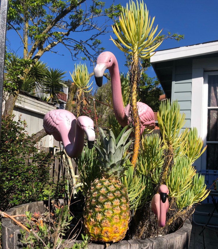 Pineapple and flamingo 