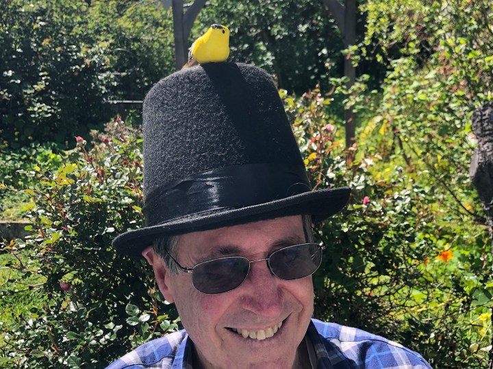 The Mister in A Top Hat