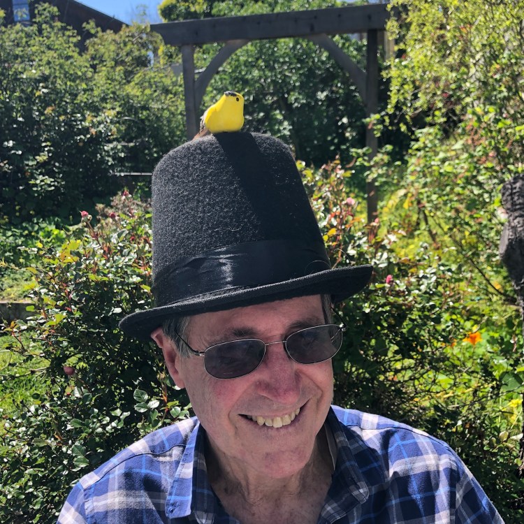 The Mister in A Top Hat