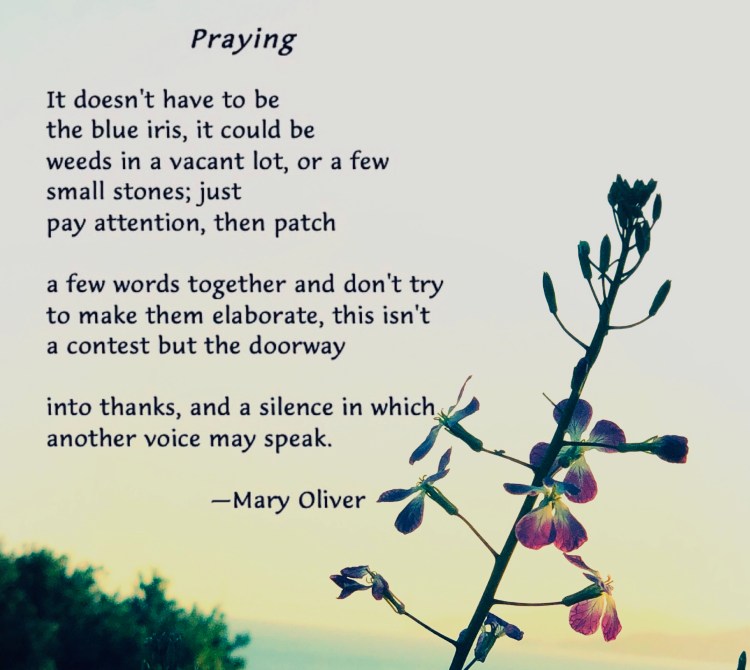 Words of Mary Oliver