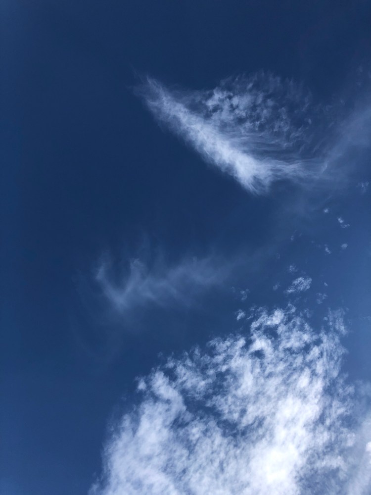 22E0B2B8-2C15-4312-818E-900AC01FEE0A