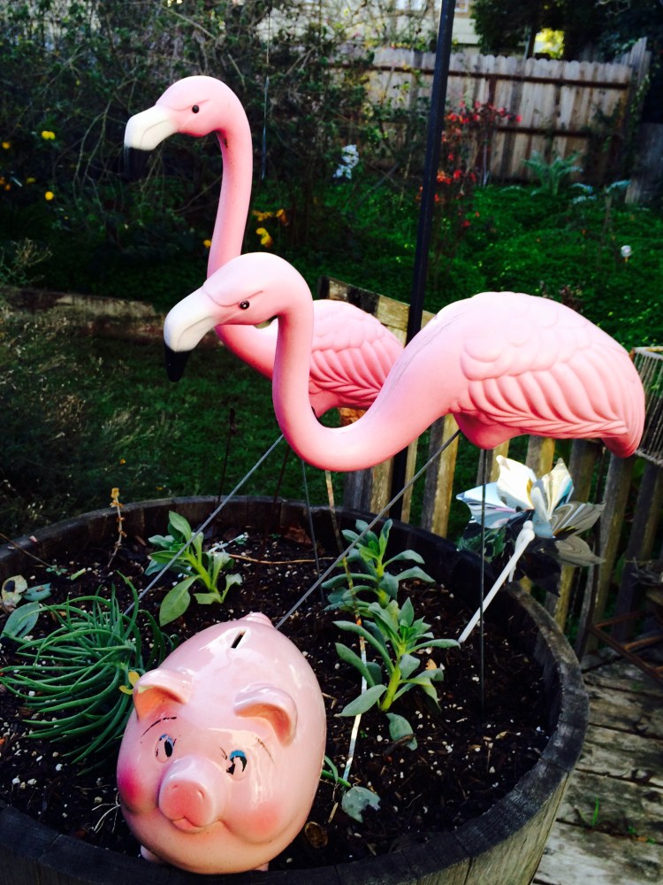 Pink flamingos and pig