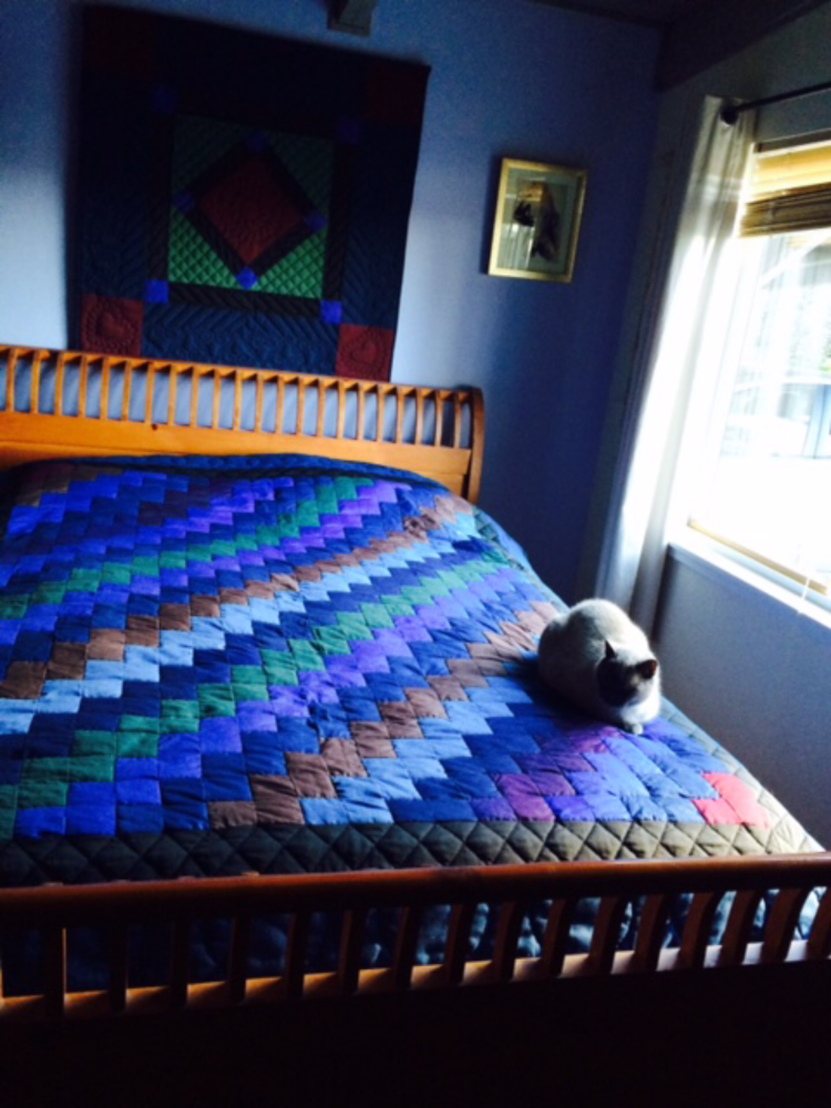 Cat on quilt