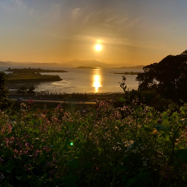 SF Bay Sunset